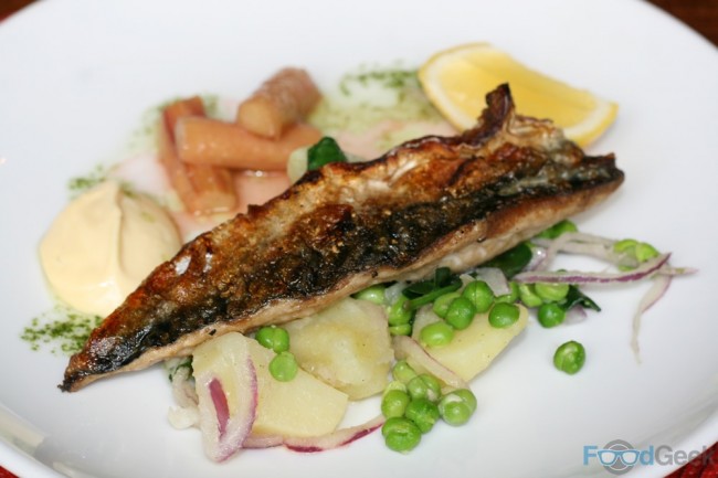 Mackerel, Potato & Spring Green Salad, Roasted Rhubarb