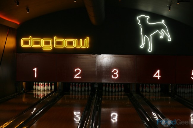 Inside Dog Bowl